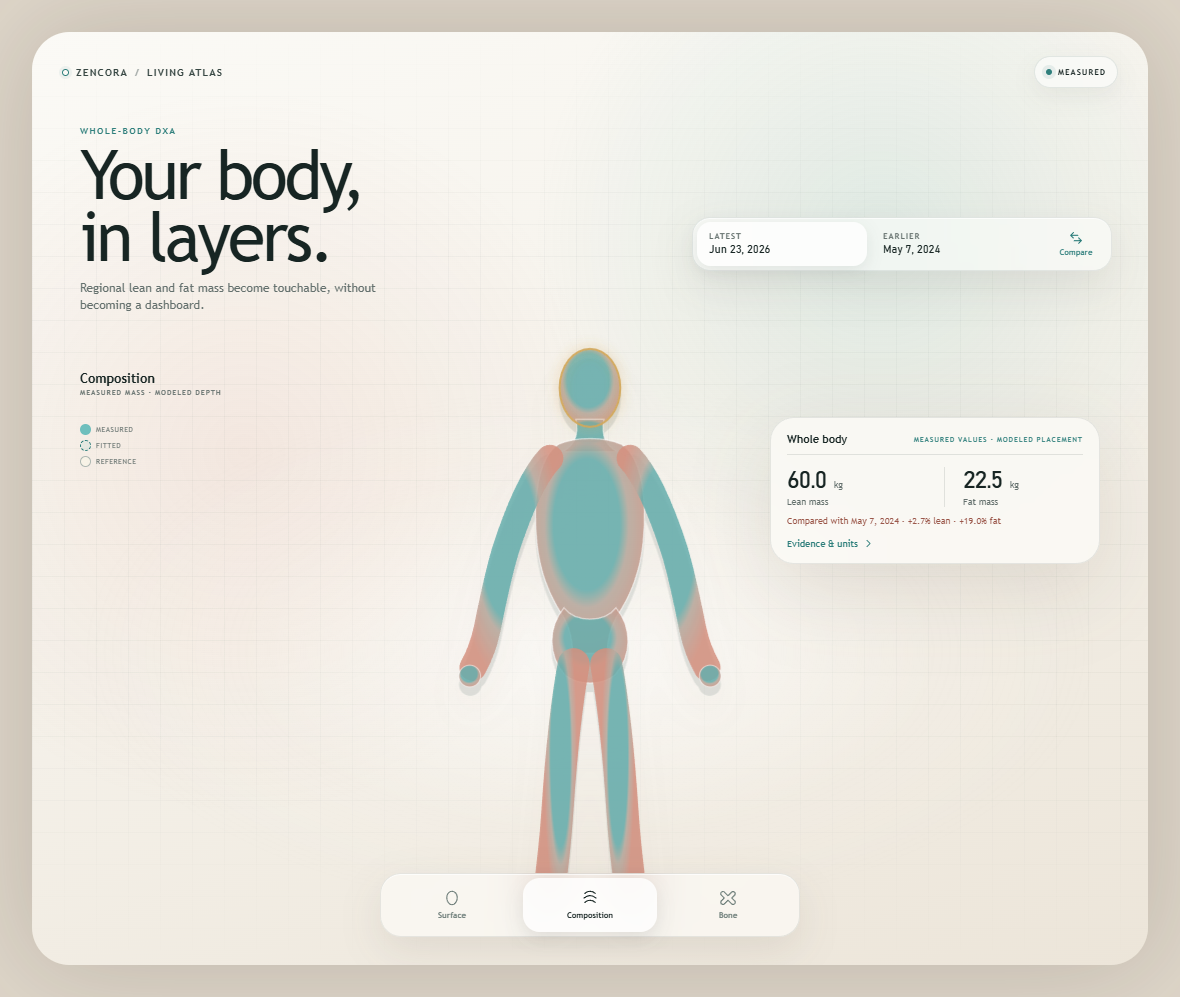 Illustrative longitudinal DEXA interface